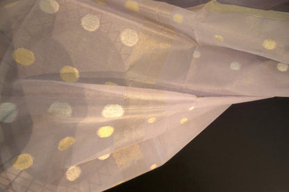 Benarasi Saree
